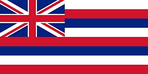 Hawaii Eyalet Bayrağı Sticker Araba Çıkartması TAMPON çıkartması Kamyon Pencere MERHABA