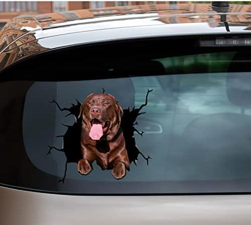 Kamelya Baskı Lab Sticker Araba Labrador Çıkartmaları Komik Yüz Küçük Araçlar Çıkartmalar Yüz Serin Kalıp Kesim Dekor