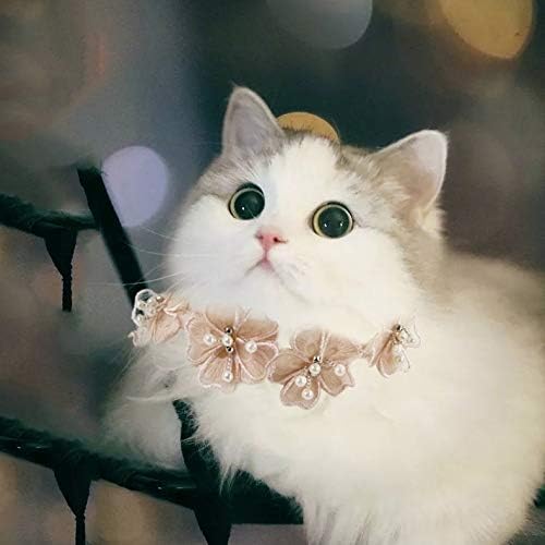 noPet Çiçek Pet Takı Yaka Yaratıcı Oyuncak Dantel Çiçek Dantel Önlük Sevimli Kedi Kolye, Boyutu: M (Beyaz)
