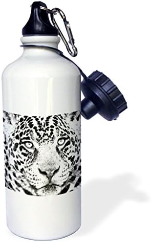 3dRose Leopard Dijital Sanat Kalemleri-Spor Su Şişesi , 21 oz, 21 oz, Çok Renkli