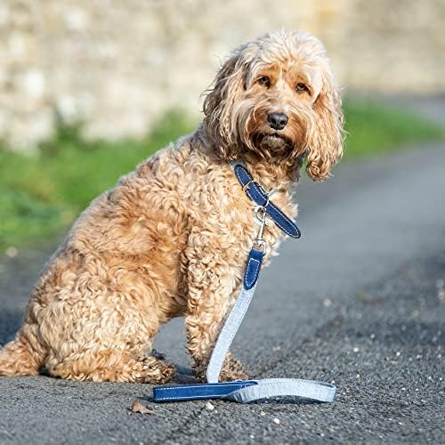 HUGO & HUDSON Hakiki italyan Deri Köpek Kurşun-Küçük, Orta ve Büyük Köpekler için Lüks Esnek Deri ve Pirinç Bağlantı
