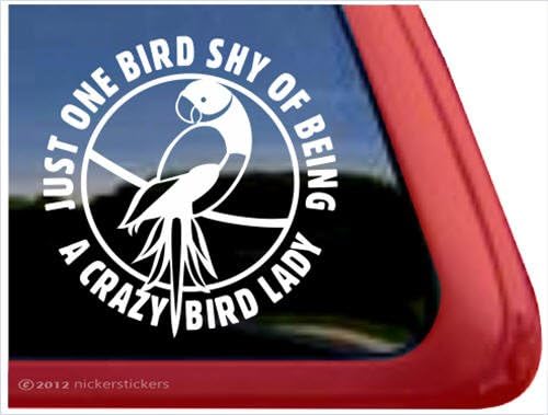 Sadece Bir Kuş Utangaç Çılgın Kuş Bayan-Hint Ringneck Papağan Kuş Vinil Pencere Çıkartması