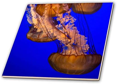 3D Gül Denizanası dalgalı derin Mavi Su Seramik Karo, Çok Renkli