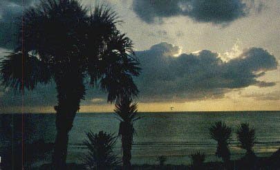 Florida Sahili, Florida Kartpostalı